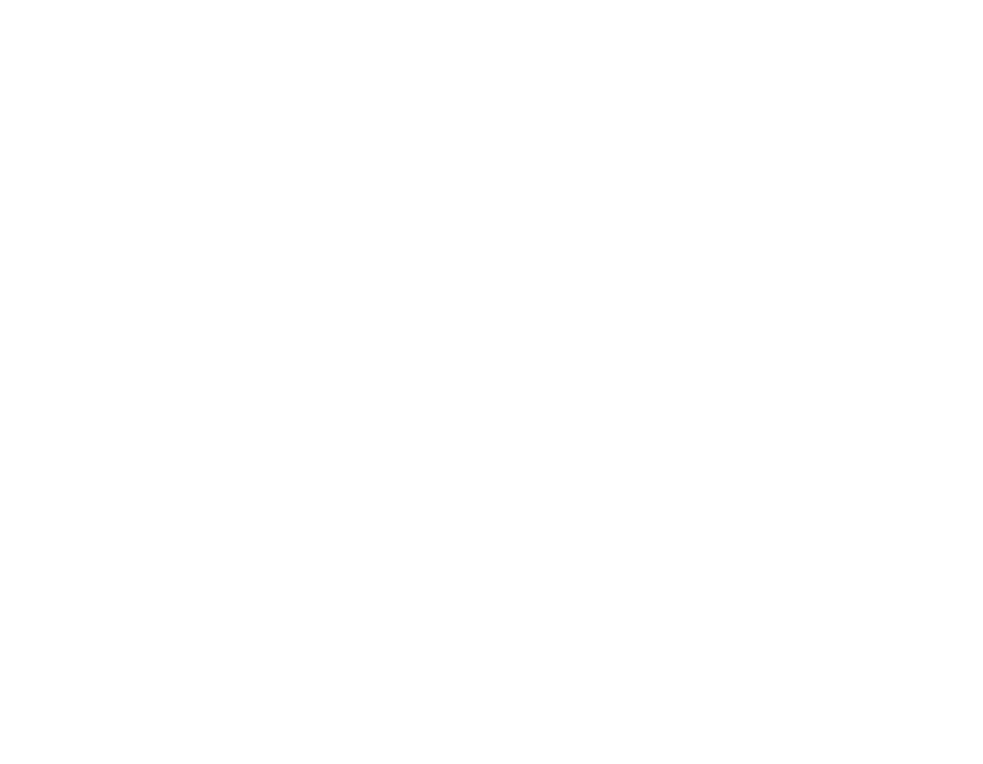 Welink Corp®